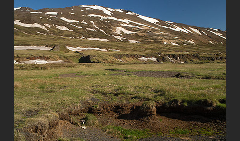 Island (Iceland)