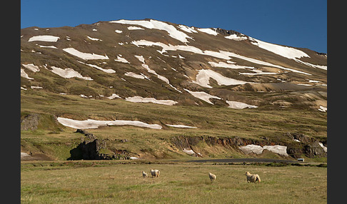 Island (Iceland)