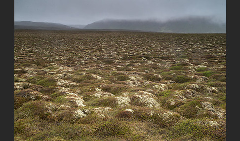 Island (Iceland)