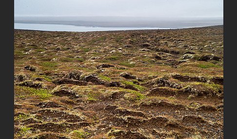 Island (Iceland)