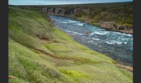 Island (Iceland)