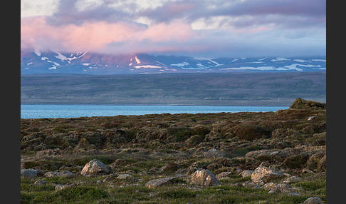 Island (Iceland)