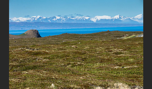 Island (Iceland)