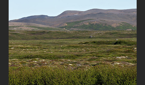 Island (Iceland)