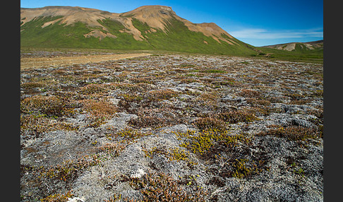 Island (Iceland)