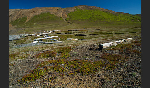 Island (Iceland)