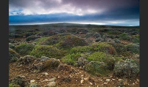 Island (Iceland)