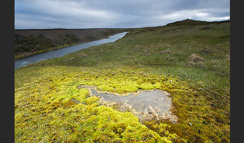 Island (Iceland)