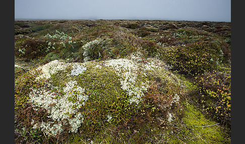 Island (Iceland)