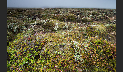 Island (Iceland)