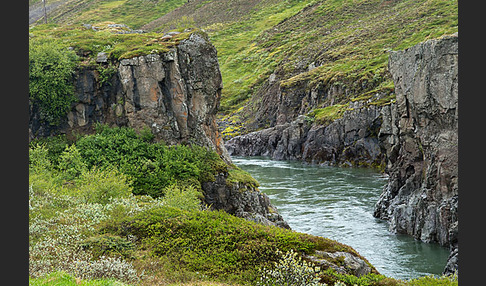 Island (Iceland)