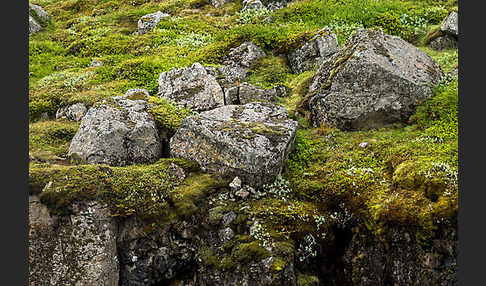 Island (Iceland)