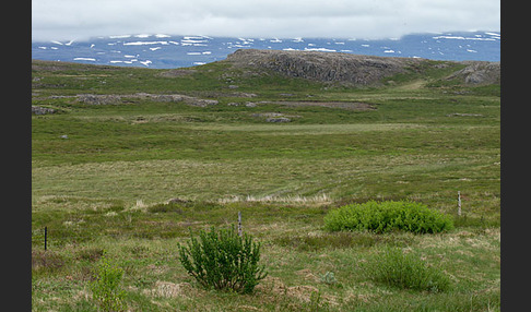 Island (Iceland)