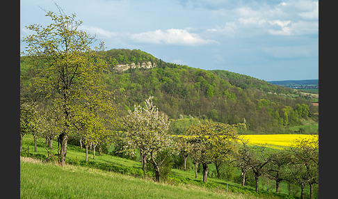 Thüringen (Thuringia)