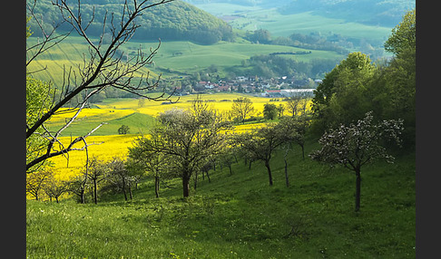 Thüringen (Thuringia)