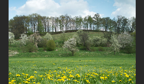 Thüringen (Thuringia)