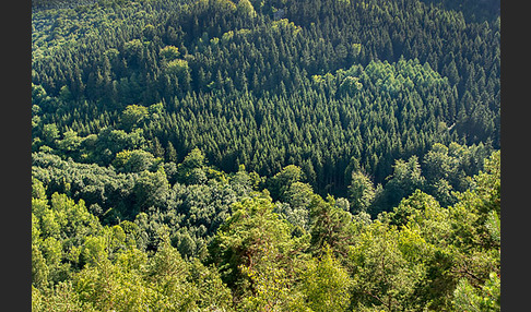 Thüringen (Thuringia)