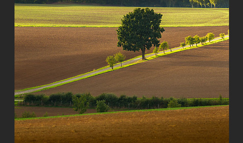 Thüringen (Thuringia)