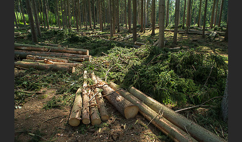 Thüringen (Thuringia)