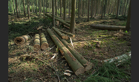 Thüringen (Thuringia)