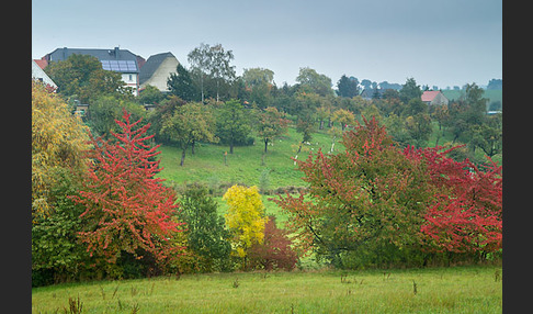 Thüringen (Thuringia)