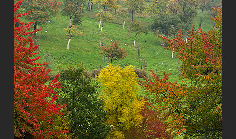 Thüringen (Thuringia)