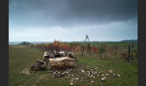 Thüringen (Thuringia)