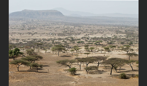 Aethiopien (Ethiopia)