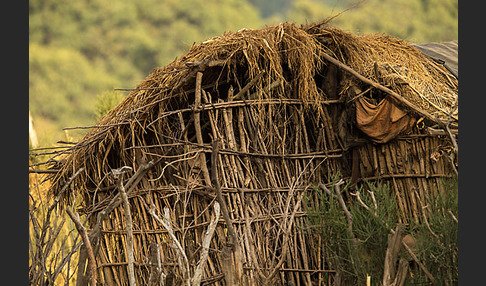 Aethiopien (Ethiopia)