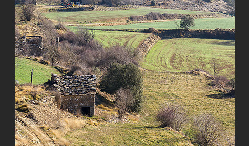 Spanien (Spain)