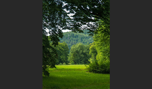 Thüringen (Thuringia)