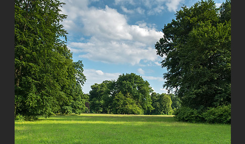 Thüringen (Thuringia)