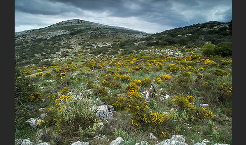 Spanien (Spain)