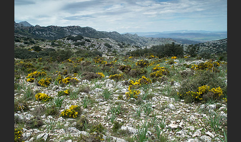 Spanien (Spain)