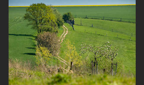 Feldweg (path)