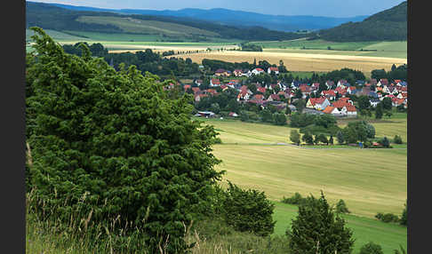 Thüringen (Thuringia)