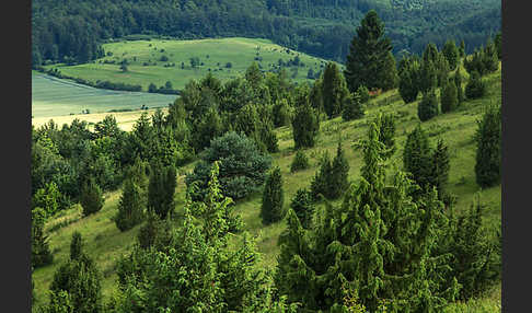 Thüringen (Thuringia)