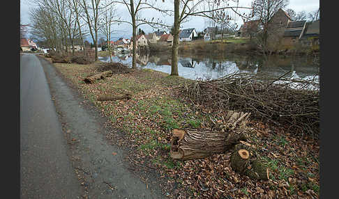 Thüringen (Thuringia)