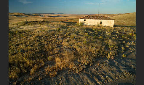 Spanien (Spain)