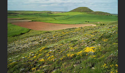 Spanien (Spain)