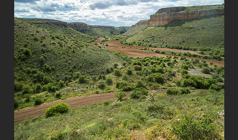 Spanien (Spain)