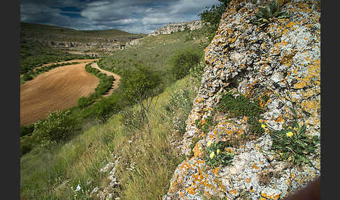 Spanien (Spain)