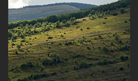 Spanien (Spain)