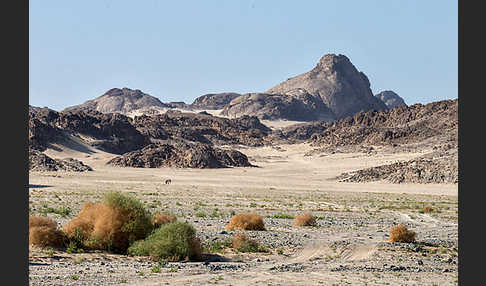 Aegypten (Egypt)