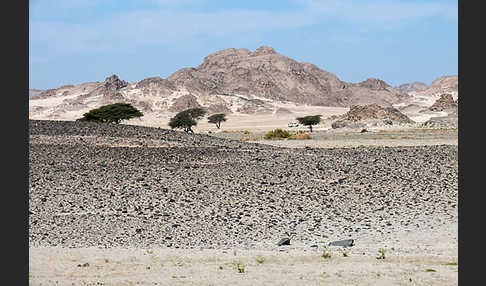 Aegypten (Egypt)