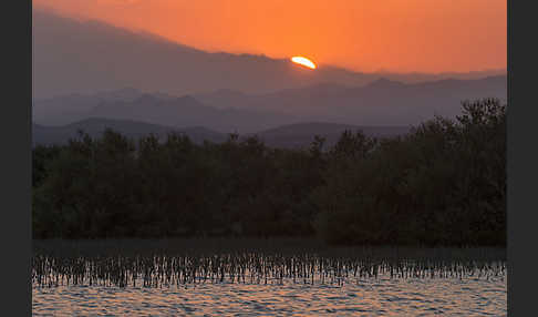 Aegypten (Egypt)