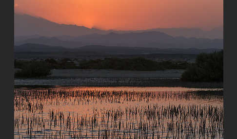 Aegypten (Egypt)