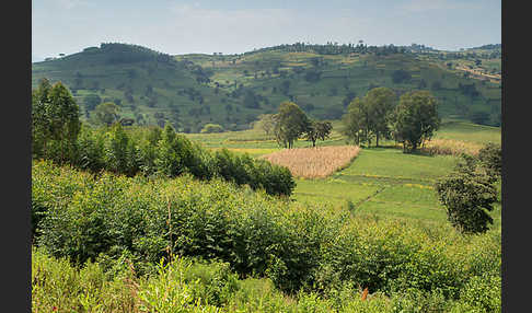 Aethiopien (Ethiopia)