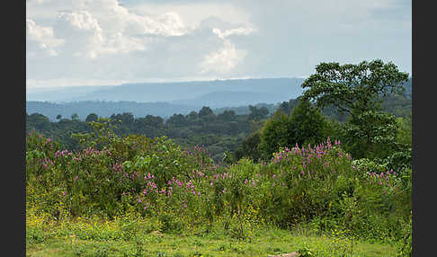 Aethiopien (Ethiopia)