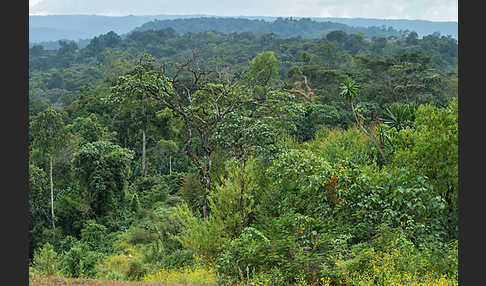 Aethiopien (Ethiopia)